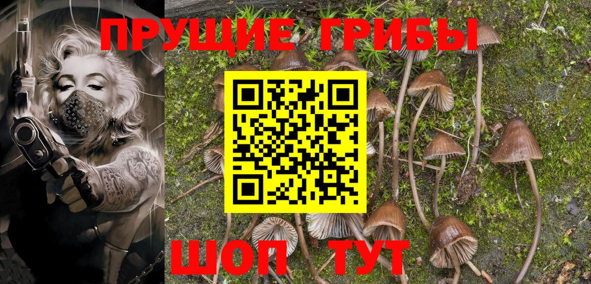 Псилоцибиновые грибы MAGIC MUSHROOMS Славгород