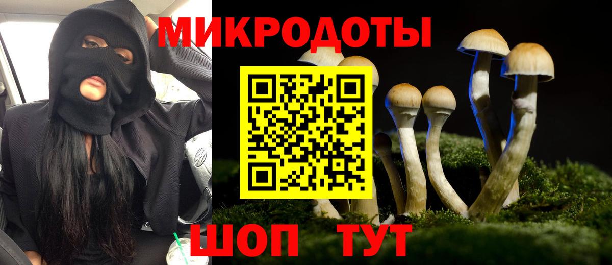 Галлюциногенные грибы ЛСД  Псилоцибиновые грибы мухоморы  Вход с VPN  Славгород 
