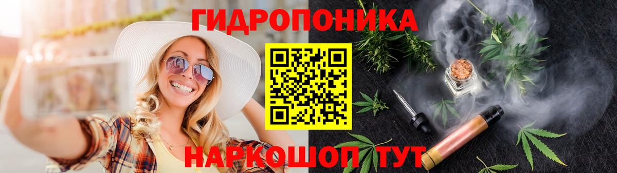 Марихуана THC 21%  Бошки марихуана THC 21%  Славгород  Вход с VPN  Бошки Шишки AK-47  Конопля ГИДРОПОН 